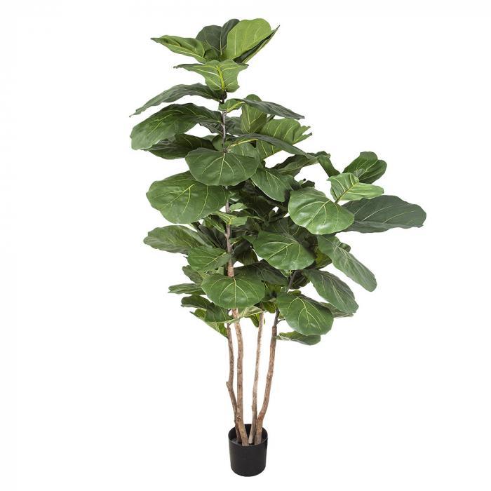 Florabelle Fiddle Leaf Tree w/74 Lvs | Accessories | app store dev @@ABC ///[option4] 十月五日 11:53 
