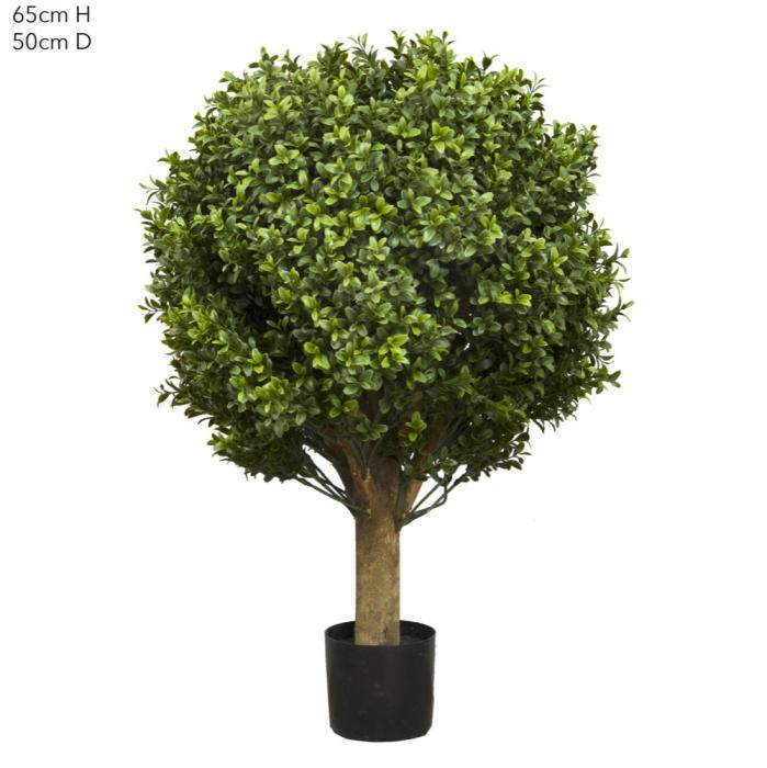 Florabelle Boxwood Ball Tree 65cm (Dia 50cm) | Accessories | app store dev @@ABC ///[option4] 十月五日 11:53 