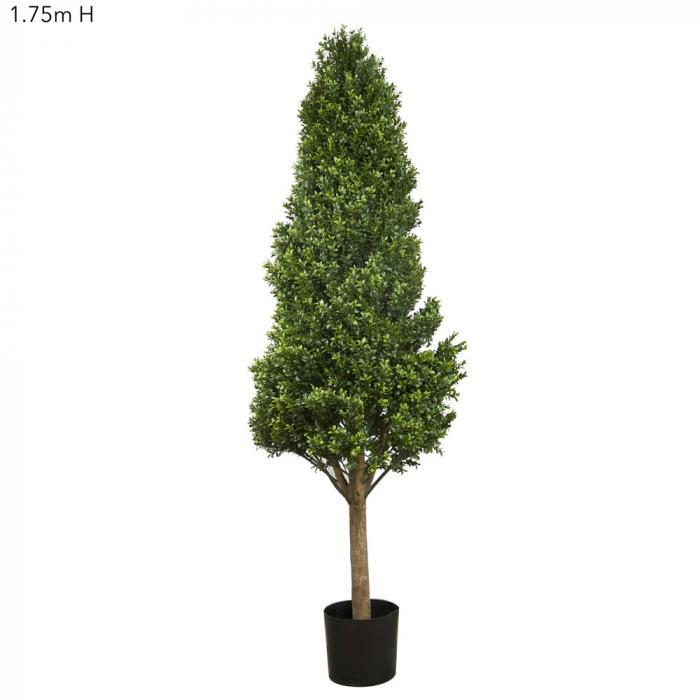 Florabelle Boxwood Tower Tree 1.75m | Accessories | app store dev @@ABC ///[option4] 十月五日 11:53 