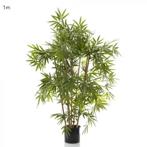 Florabelle Japanese Bamboo Tree 1m | Accessories | app store dev @@ABC ///[option4] 十月五日 11:53 