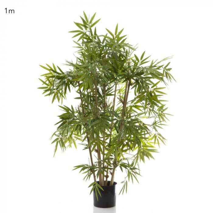 Florabelle Japanese Bamboo Tree 1m | Accessories | app store dev @@ABC ///[option4] 十月五日 11:53 