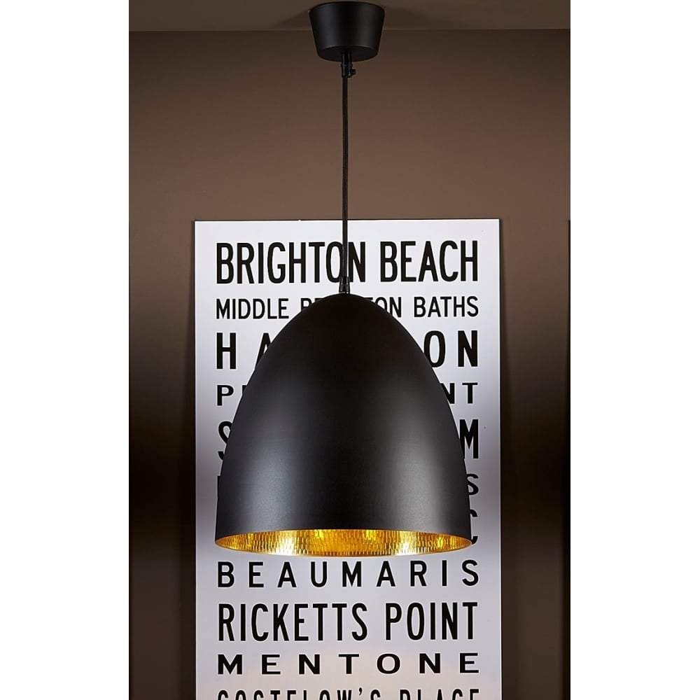 Emac & Lawton Egg Ceiling Lamp Black Brass | Chandeliers and Ceiling Lights | app store dev @@ABC ///[option4] 十月五日 11:53 