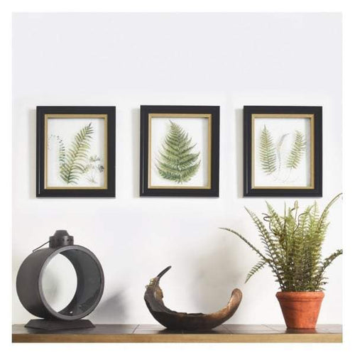 Bodhi Alpini Framed Art Trio | Wall Art | app store dev @@ABC ///[option4] 十月五日 11:53 