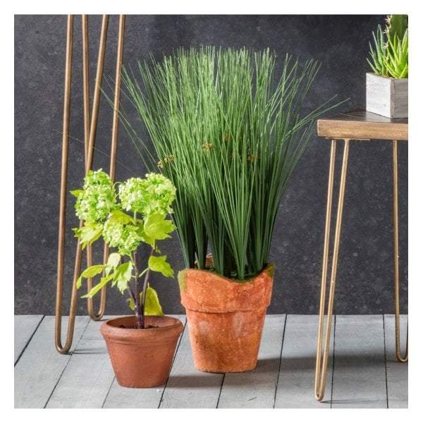 Bodhi Artificial Faux Potted Rye Grass | Artificial Plants | app store dev @@ABC ///[option4] 十月五日 11:53 