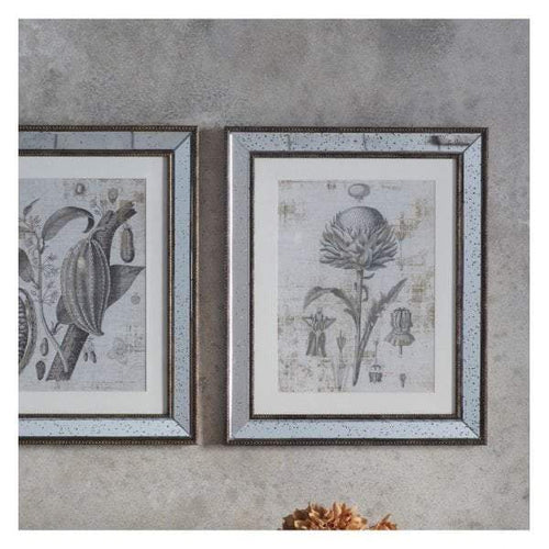 Bodhi Gold Foil Botanical Study II Framed Art | Wall Art | app store dev @@ABC ///[option4] 十月五日 11:53 