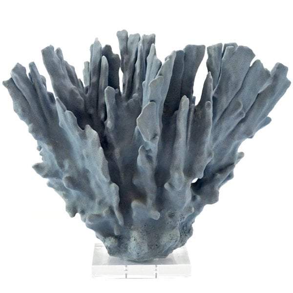 Searles Homewares Coral Decor with Crystal Glass Base | Decorators | app store dev @@ABC ///[option4] 十月五日 11:53 