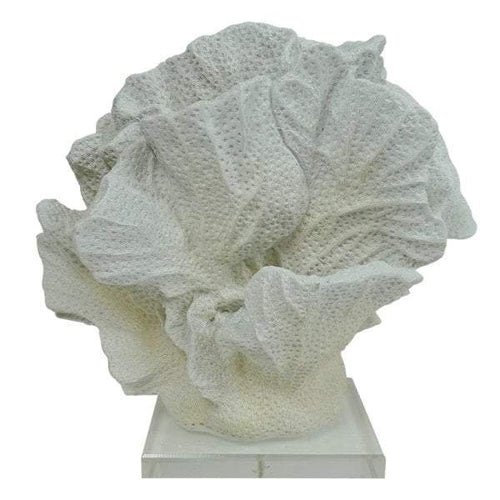 Searles Homewares Coral Decor w Acrylic Base | Decorators | app store dev @@ABC ///[option4] 十月五日 11:53 