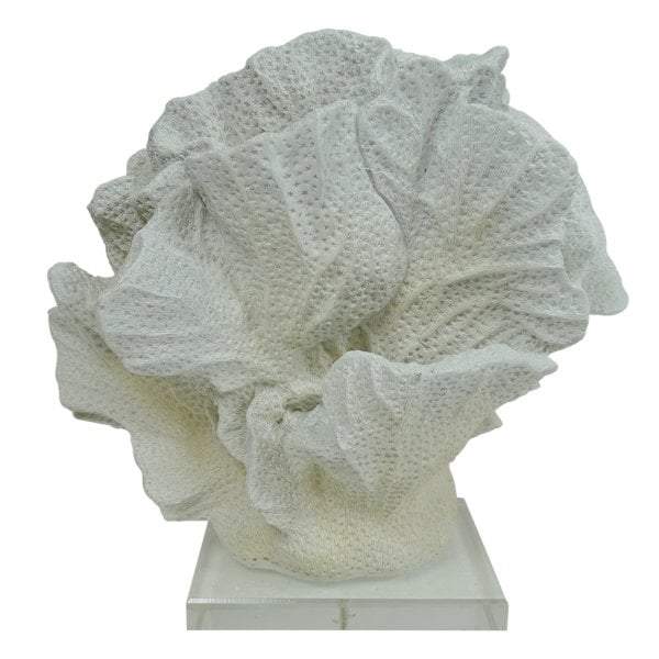 Searles Homewares Coral Decor w Acrylic Base | Decorators | app store dev @@ABC ///[option4] 十月五日 11:53 