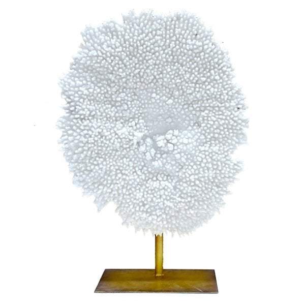 Searles Homewares Coral Decor On Stand | Decorators | app store dev @@ABC ///[option4] 十月五日 11:53 