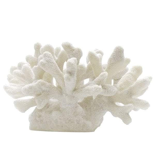 Searles Homewares Coral Décor | Decorators | app store dev @@ABC ///[option4] 十月五日 11:53 