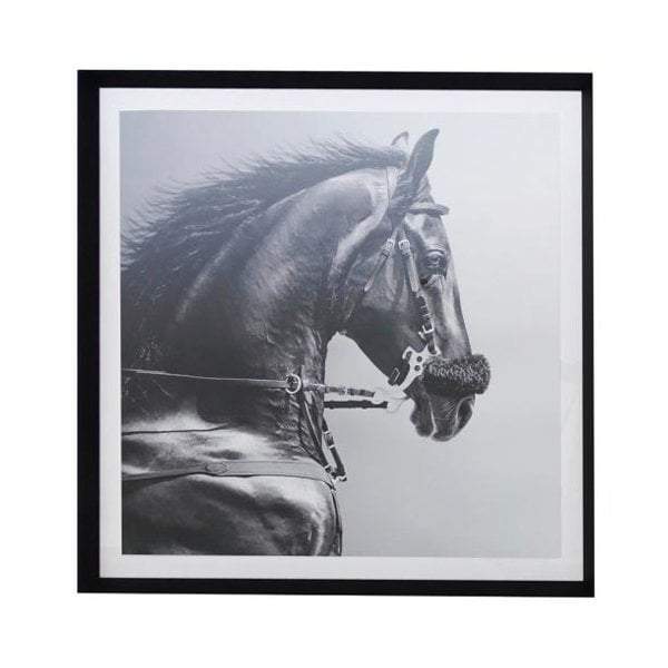 Searles Homewares Equine Pride Framed Print | Wall Art | app store dev @@ABC ///[option4] 十月五日 11:53 