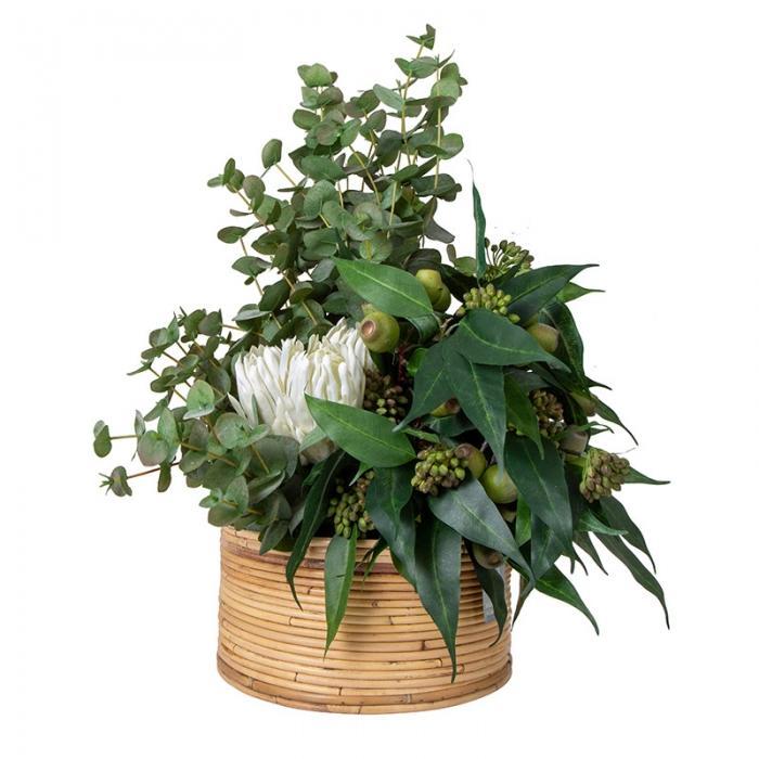 Florabelle Eucalyptus / Gumnut in Haiti Pot Sml | Accessories | app store dev @@ABC ///[option4] 十月五日 11:53 