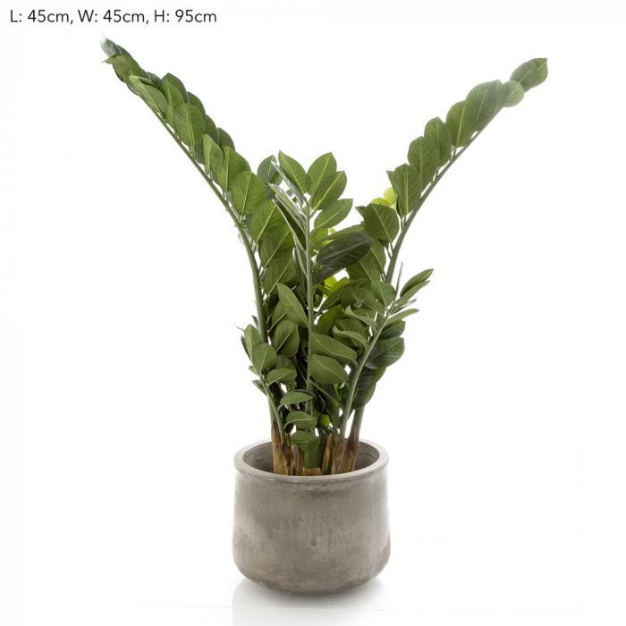 Florabelle 90cm Potted Smargago | Accessories | app store dev @@ABC ///[option4] 十月五日 11:53 