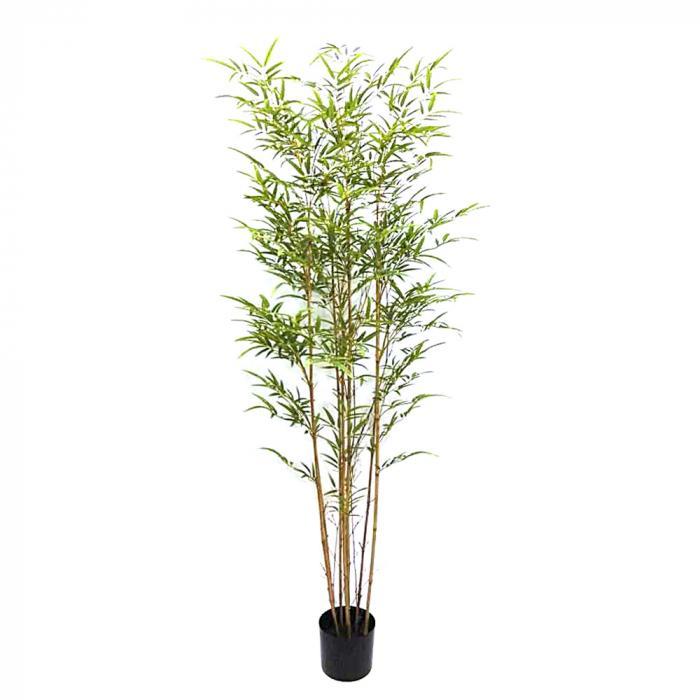 Florabelle Bamboo Tree 1.8m | Accessories | app store dev @@ABC ///[option4] 十月五日 11:53 
