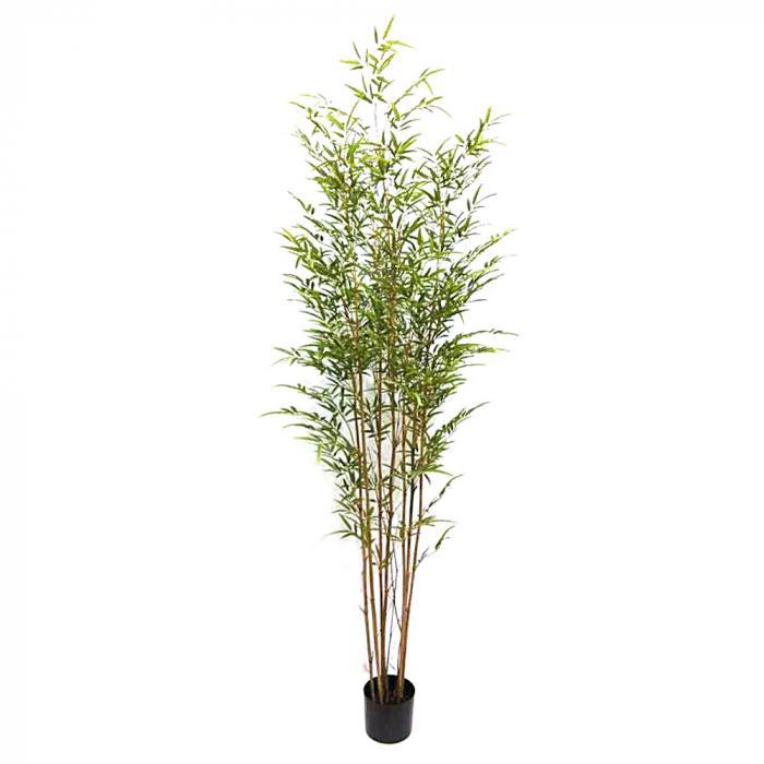 Florabelle Bamboo Tree 2.1m | Accessories | app store dev @@ABC ///[option4] 十月五日 11:53 