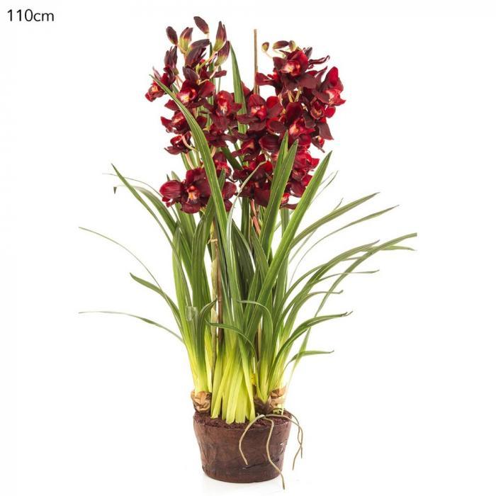 Florabelle Cymbidium Giant Paper Pot 110cm Burgun | Accessories | app store dev @@ABC ///[option4] 十月五日 11:53 