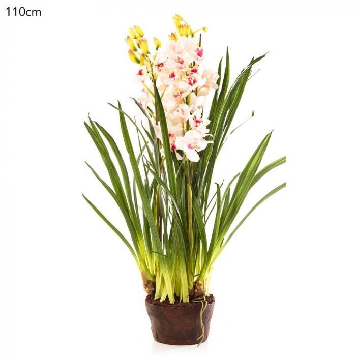 Florabelle Cymbidium Giant Paper Pot 110cm Lt.Pin | Accessories | app store dev @@ABC ///[option4] 十月五日 11:53 