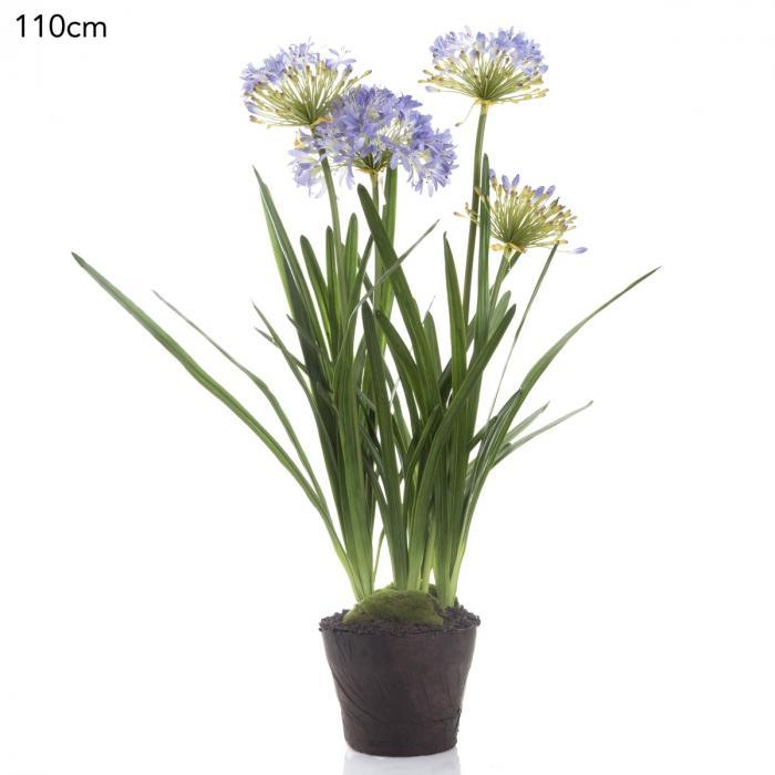 Florabelle Agapanthus in Paper Pot Lavender | Accessories | app store dev @@ABC ///[option4] 十月五日 11:53 