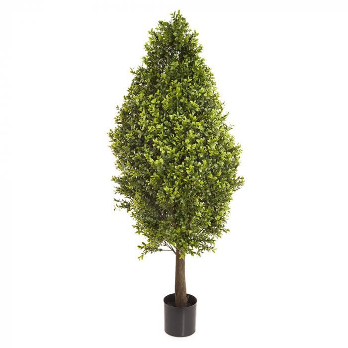 Florabelle Boxwood Cone W/2160 Lvs 90cm | Accessories | app store dev @@ABC ///[option4] 十月五日 11:53 