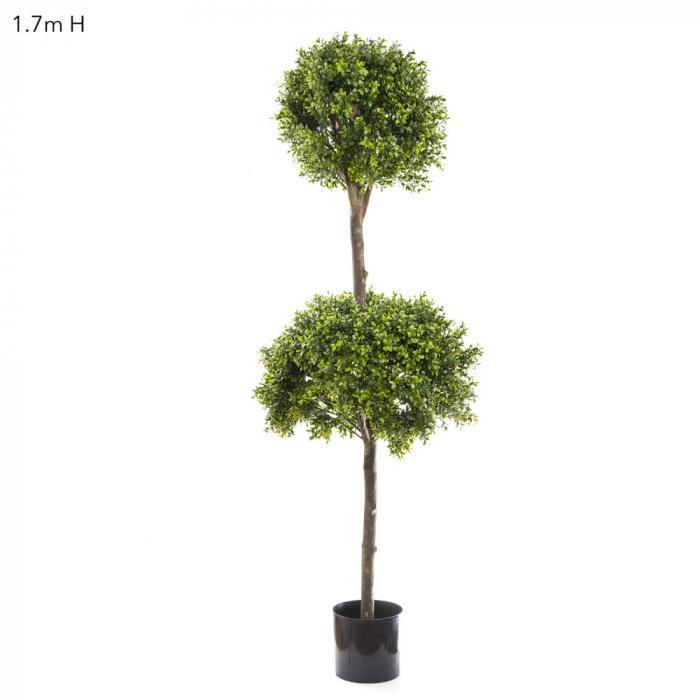 Florabelle Boxwood Dbl Ball Tree 1.7m Dia60&40cm | Accessories | app store dev @@ABC ///[option4] 十月五日 11:53 