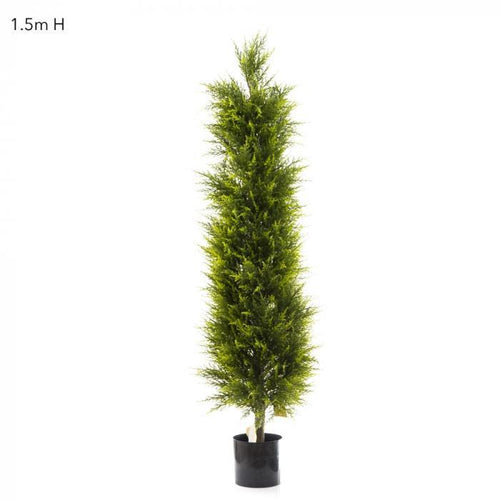 Florabelle Cypress Pine 1.5m | Accessories | app store dev @@ABC ///[option4] 十月五日 11:53 