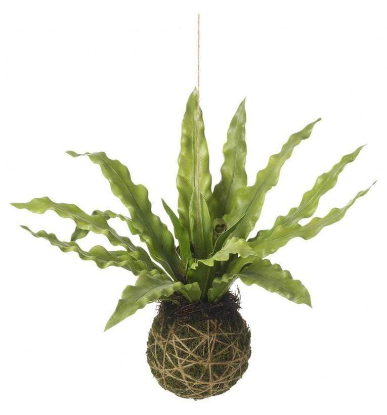 Parlane Asplenium Hanging Ball Green (6pk) | Faux Plants | app store dev @@ABC ///[option4] 十月五日 11:53 