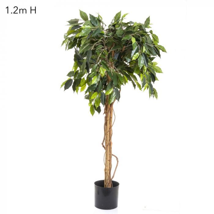Florabelle Ficus Ball Tree 1.2m | Accessories | app store dev @@ABC ///[option4] 十月五日 11:53 