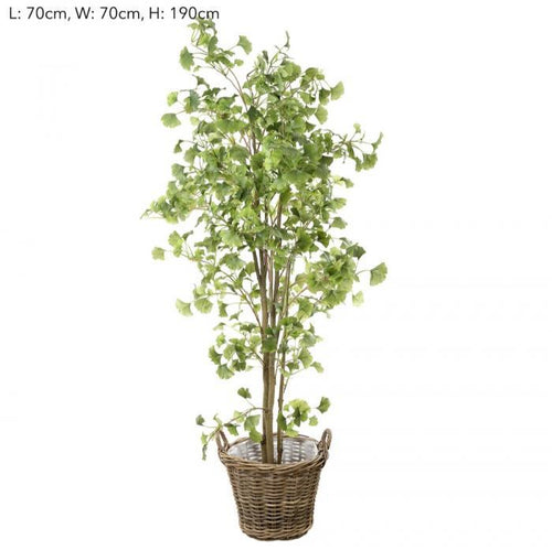 Florabelle Ginko in S Rattan Basket | Accessories | app store dev @@ABC ///[option4] 十月五日 11:53 