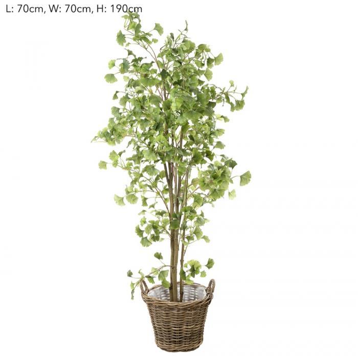 Florabelle Ginko in S Rattan Basket | Accessories | app store dev @@ABC ///[option4] 十月五日 11:53 