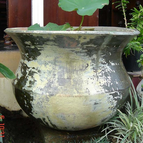 Florabelle Chonburi Planter | Accessories | app store dev @@ABC ///[option4] 十月五日 11:53 