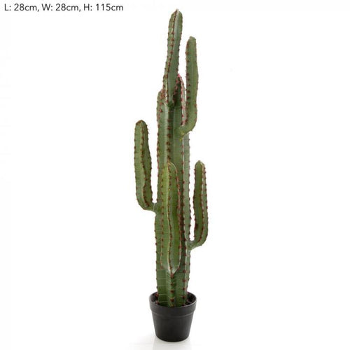 Florabelle Desert Cactus XL | Accessories | app store dev @@ABC ///[option4] 十月五日 11:53 
