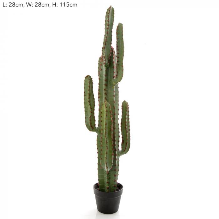 Florabelle Desert Cactus XL | Accessories | app store dev @@ABC ///[option4] 十月五日 11:53 