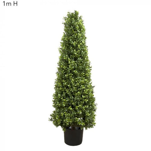 Florabelle Boxwood Pyramid Tree 1m | Accessories | app store dev @@ABC ///[option4] 十月五日 11:53 