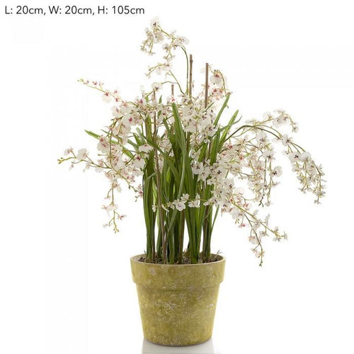 Florabelle Dancing Orchid in Pot 105cm White | Accessories | app store dev @@ABC ///[option4] 十月五日 11:53 