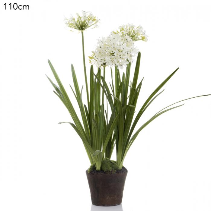 Florabelle Agapanthus in Paper Pot White | Accessories | app store dev @@ABC ///[option4] 十月五日 11:53 