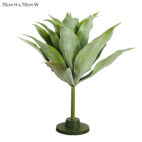 Florabelle Giant Agave Plant | Accessories | app store dev @@ABC ///[option4] 十月五日 11:53 