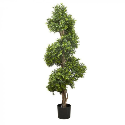 Florabelle Boxwood Spiral Tree 1.5m | Accessories | app store dev @@ABC ///[option4] 十月五日 11:53 