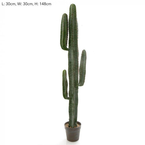 Florabelle Desert Cactus 156cm | Accessories | app store dev @@ABC ///[option4] 十月五日 11:53 