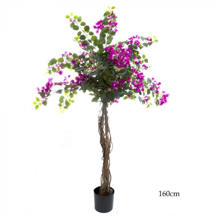 Florabelle Bougainvillea Tree 1.6m (TCBOU1140 | Accessories | app store dev @@ABC ///[option4] 十月五日 11:53 