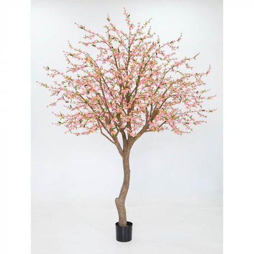 Florabelle 2.4m Giant Cherry Blossom Tree 2925 lvs, | Accessories | app store dev @@ABC ///[option4] 十月五日 11:53 
