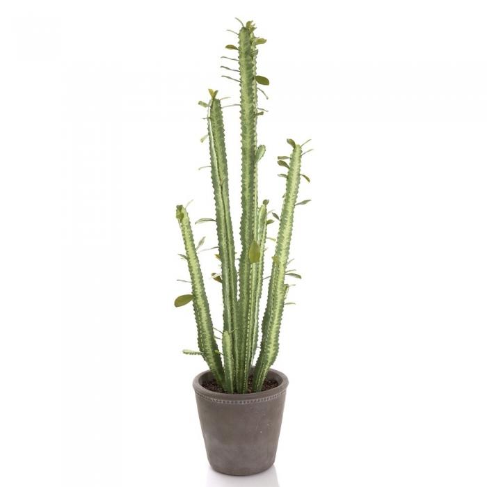 Florabelle Cactus in Pot 89cm Green | Accessories | app store dev @@ABC ///[option4] 十月五日 11:53 
