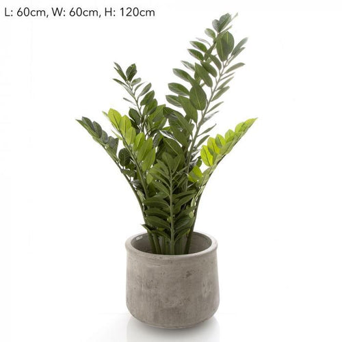 Florabelle 110cm Potted Smargago | Accessories | app store dev @@ABC ///[option4] 十月五日 11:53 