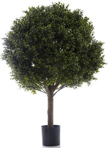 Florabelle Boxwood Ball Tree 85cm (Dia 70cm) | Accessories | app store dev @@ABC ///[option4] 十月五日 11:53 