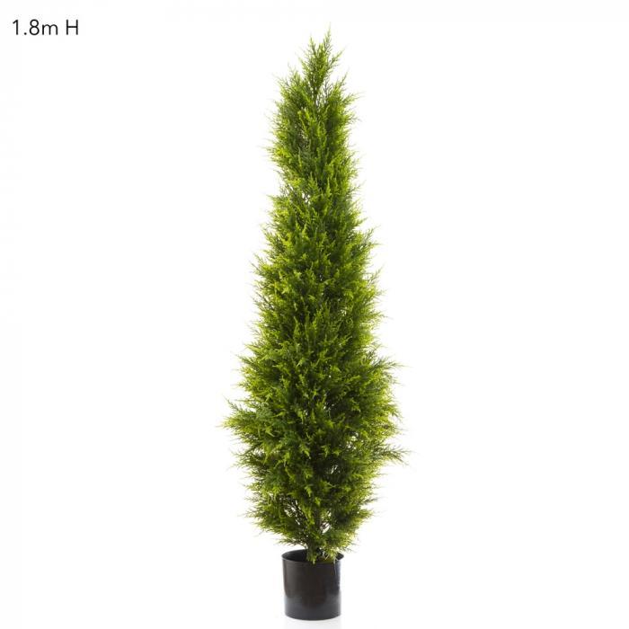 Florabelle Cypress Pine 1.8m | Accessories | app store dev @@ABC ///[option4] 十月五日 11:53 