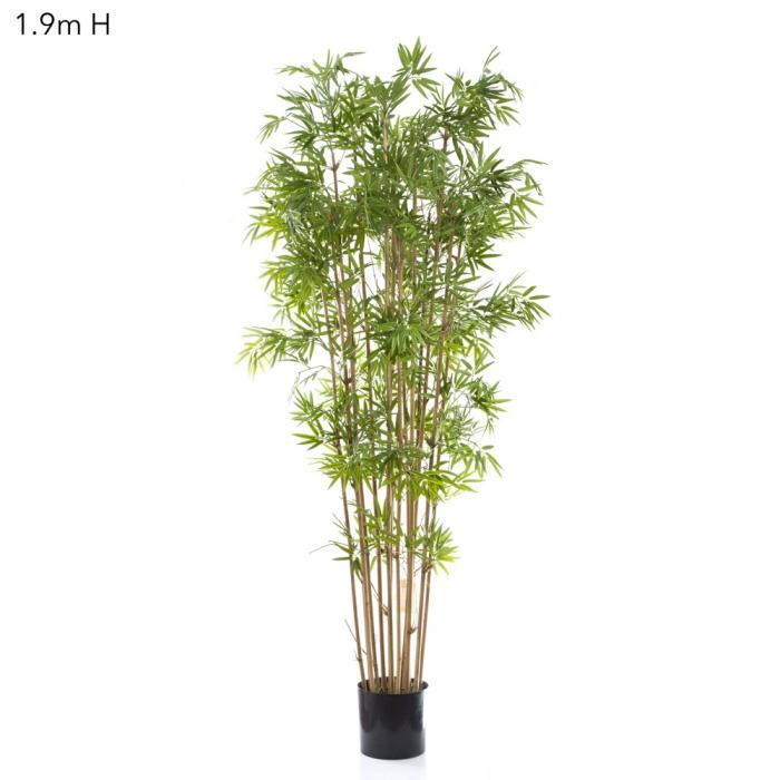Florabelle Japanese Bamboo Tree 1.9m | Accessories | app store dev @@ABC ///[option4] 十月五日 11:53 