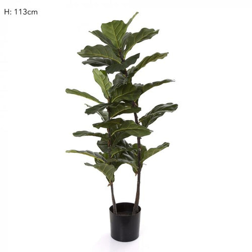 Florabelle 113cm Fiddle Leaf Tree | Accessories | app store dev @@ABC ///[option4] 十月五日 11:53 