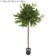 Load image into Gallery viewer, Florabelle Demo Table 123 | Accessories | app store dev @@ABC ///[option4] 十月五日 11:53 
