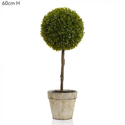 Florabelle Boxwood Topiary 60cm Green | Accessories | app store dev @@ABC ///[option4] 十月五日 11:53 