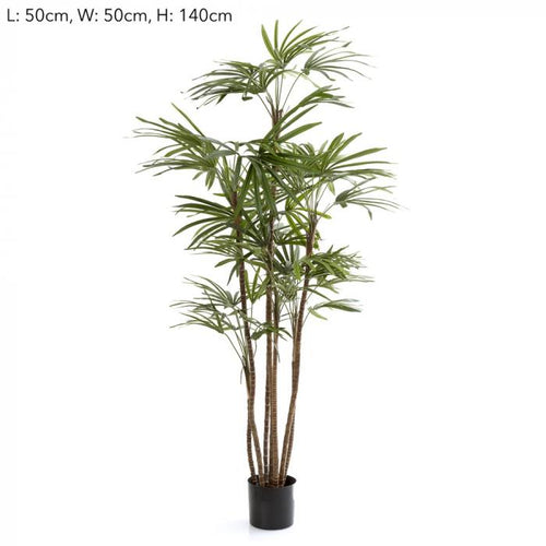 Florabelle 1.2m Honey Lady Palm x7 432 Lvs | Accessories | app store dev @@ABC ///[option4] 十月五日 11:53 
