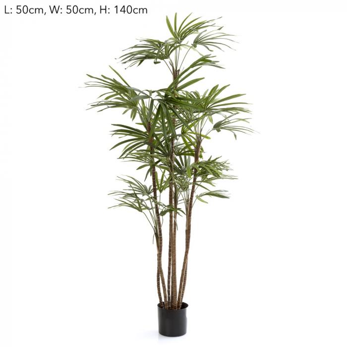 Florabelle 1.2m Honey Lady Palm x7 432 Lvs | Accessories | app store dev @@ABC ///[option4] 十月五日 11:53 